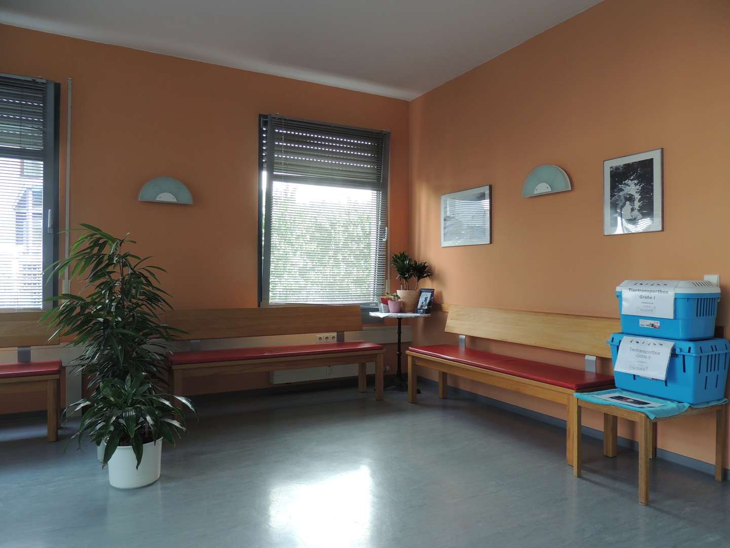 Tierärztliche Praxis-tierarztpraxis neuhausen-dr elsässer (11)