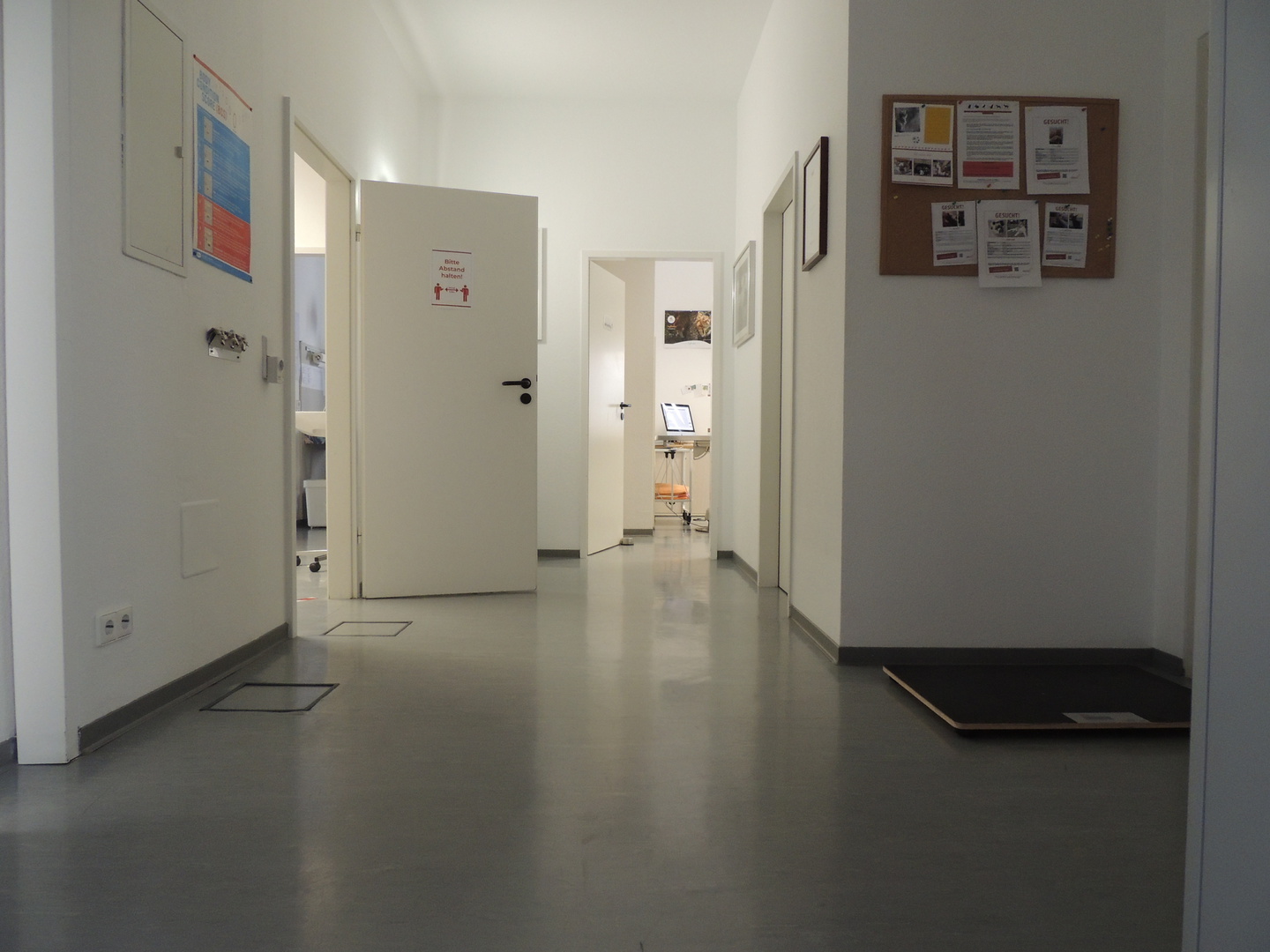 Tierärztliche Praxis-tierarztpraxis neuhausen-dr elsässer (9)