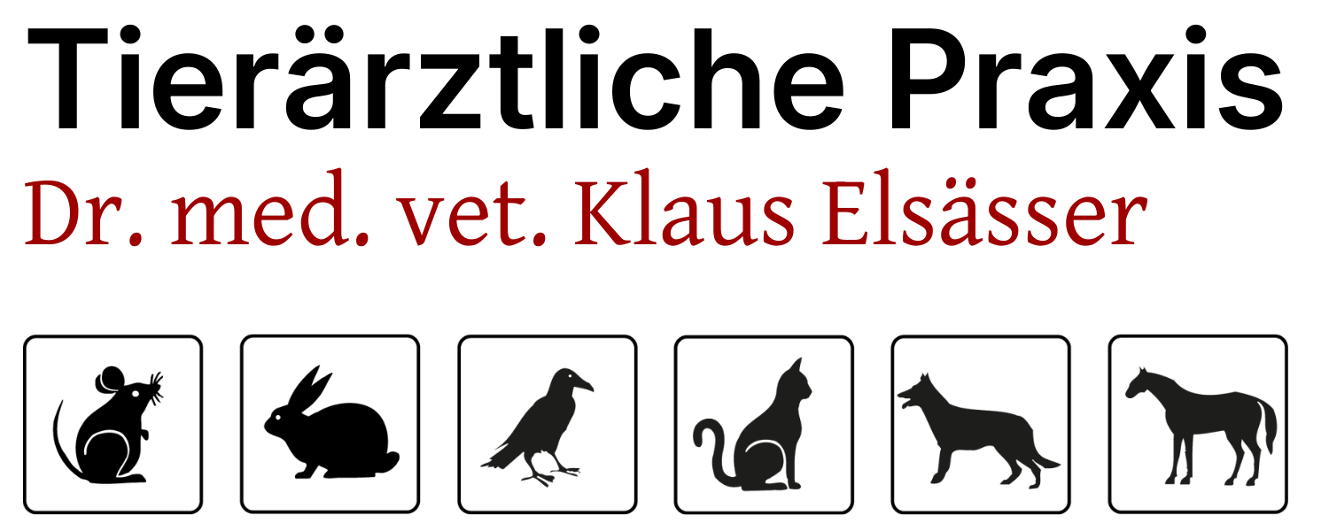 Tierarztpraxis Neuhausen